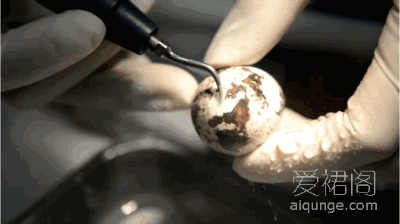 20180104203438.gif