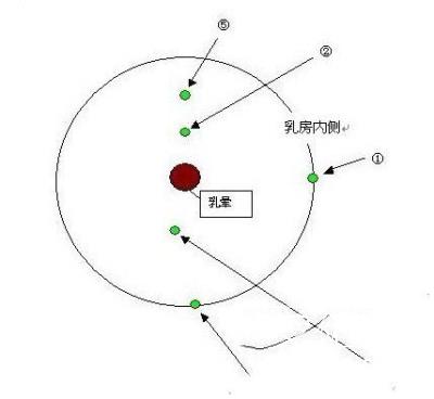 胸部按摩步骤详解